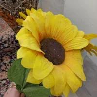 گل و گلدان