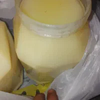 روغن محلی|حراج|کوه چنار, |دیوار