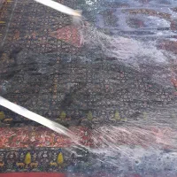 قالیشویی