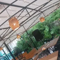 نیروی خدماتی برای رستوران ترش واش