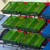 کفه 1 میلی قفسه|فروشگاه و مغازه|جویبار, |دیوار