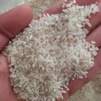 برنج هاشمی|خوردنی و آشامیدنی|قزوین, |دیوار