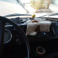 کامیونت مینیبار|خودرو سنگین|فردیس, شهرک شهید حسینی|دیوار