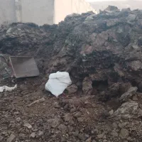 کود حیوانی گوسفندی رایگان|گل و گیاه طبیعی|باسمنج, |دیوار