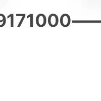 فروش خط ۰۹۱۷۱۰۰۰