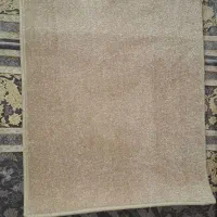 پالاز موکت|موکت|همدان, |دیوار