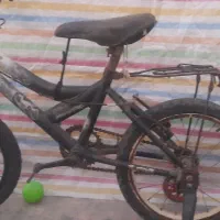 فروشی سالم 3عدد