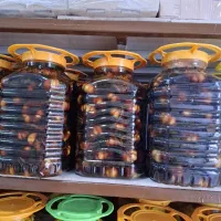 ترشیجات|خوردنی و آشامیدنی|شیراز, شیشه‌گری|دیوار