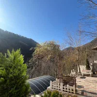 اجاره ویلا استخردار دل جنگل با ویوو ابدی (کد۲۶)|اجارهٔ کوتاه‌مدت ویلا و باغ|رشت, منظریه|دیوار