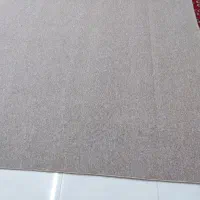 پالازموکت طرح پونه