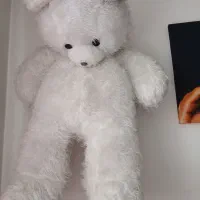 خرس بزرگ۱مترو۲۰
