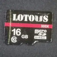 micro SD 16 gb
