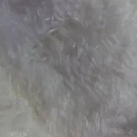 کلاه تدی نو|لباس|پاکدشت, شهرک امام رضا|دیوار