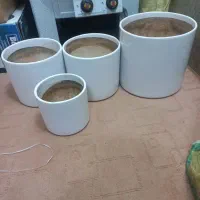 گلدان سفالی وپلاستیکی درحدنو