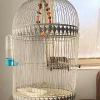 قفس برای مرغ عشق عروس هلندی فنچ کوتوله