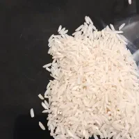 برنج اورگانیک هاشمی|خوردنی و آشامیدنی|رشت, حمیدیان|دیوار