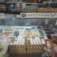 یخچال نگینی پنیر ترشی فروشگاهی