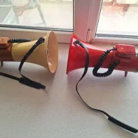 بلنگو ژاپنی توآ