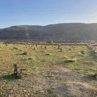 باغ-شهری-جوادیه