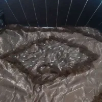 تختخواب دونفره
