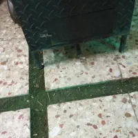 فر بلال با سیب زمینی|کافیشاپ و رستوران|گنبد کاووس, |دیوار