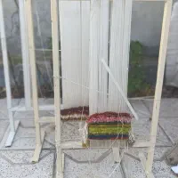 دارقالی|تابلو فرش|گلبهار, شهر جدید گلبهار|دیوار