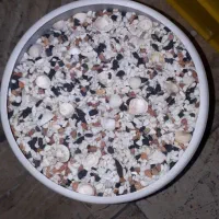 لوازم آکواریوم