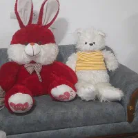 عروسک خرس و خرگوش