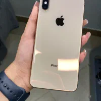 Xs max gold