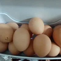 تخم مرغ محلی فروشی