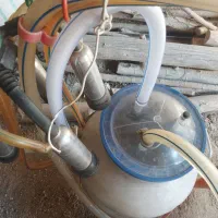 شیردوش