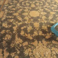 سه جفت فرش ۹متری گل برجسته|فرش|سرخرود, |دیوار