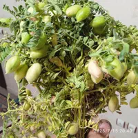 نیروی کارکشاورزی