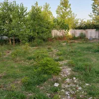 زمین مسکونی ۶۲۰ متری سند تک برگ و پروانه ساخت|فروش زمین و ملک کلنگی|رشت, گلسار|دیوار