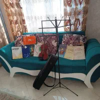 ویولن دست ساز|ویولن|شهریار, شهرک وائین|دیوار