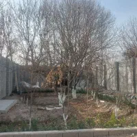 440-متر-مستقل-سند-تک-برگ