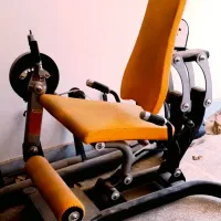 22 قلم دستگاه بدنسازی