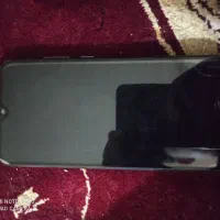 y6  2019