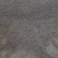 کود حیوانی|لوازم جانبی حیوانات|تبریز, |دیوار