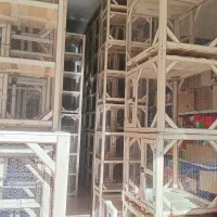 فروش انواع قفس چوبی|لوازم جانبی حیوانات|گلپایگان, |دیوار