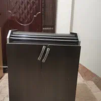 جاکفشی سالم