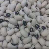 فروش چای حبوبات نیم دانه و برنج|خوردنی و آشامیدنی|شوشتر, |دیوار