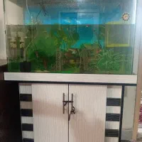 آکواریوم با میز