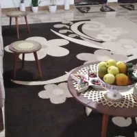 یه گلیم فرش جنس خوب ۹متری  و یه دونه ۶متری|گلیم، جاجیم، گبه|رشت, هلال احمر|دیوار