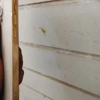 ایفون ۱۲ پرو|موبایل|یزد, |دیوار