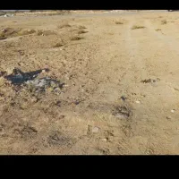 فروش زمین در ملاثانی