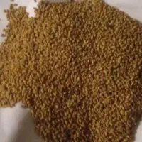 بذر یونجه بمی