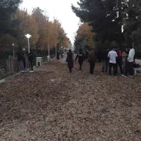 موبایل پیدا شده