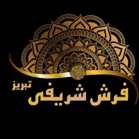 طراحی لوگو براساس بودجه شما