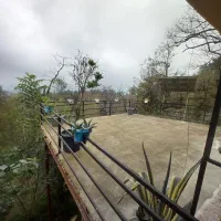 اجاره ویلا تودل جنگل باویوی ابدی|اجارهٔ کوتاهمدت ویلا و باغ|گلوگاه بابل (گلیا), |دیوار